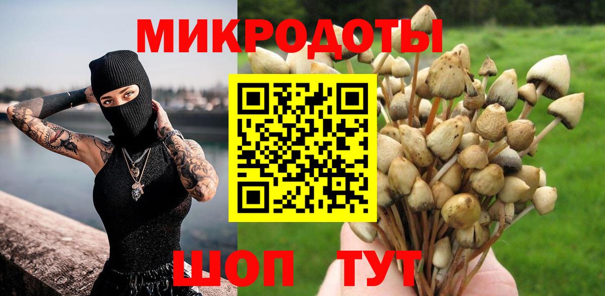 Кореновск  Псилоцибиновые грибы Psilocybine cubensis  Псилоцибиновые грибы Magic Shrooms  Вход с VPN 